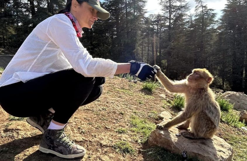 Incontro con le Bertucce nella Magica Foresta dei Cedri di Ifrane – marocco